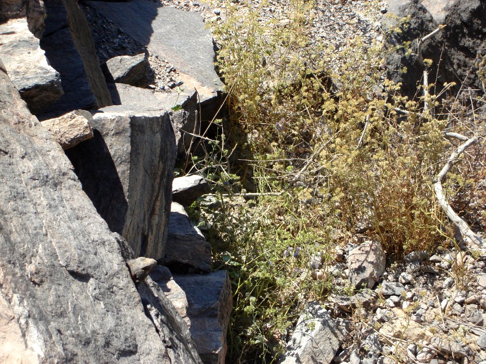 dsc03183.jpg 