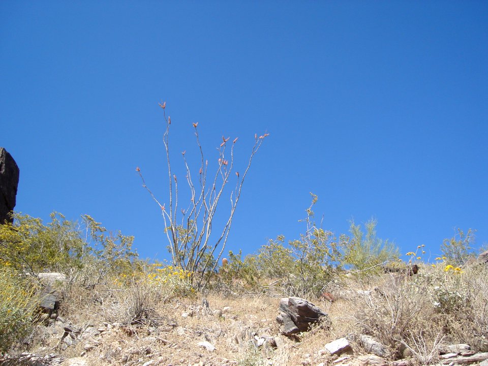 dsc03193.jpg 