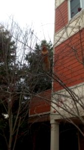 IMG_20160103_132229862 