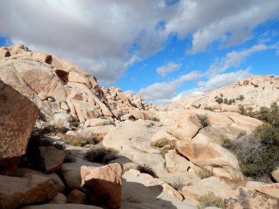 DSCN1657 
