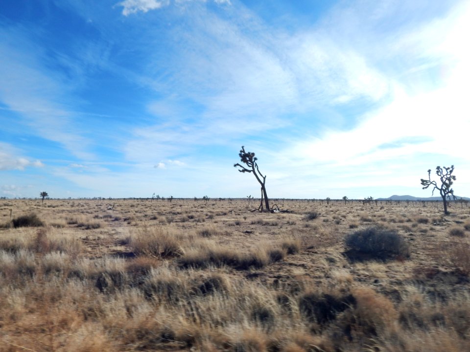 DSCN1680 