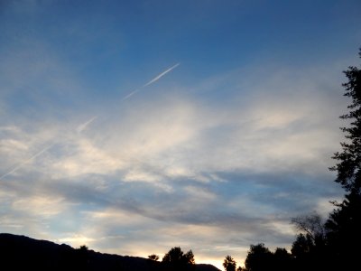 DSCN1781 