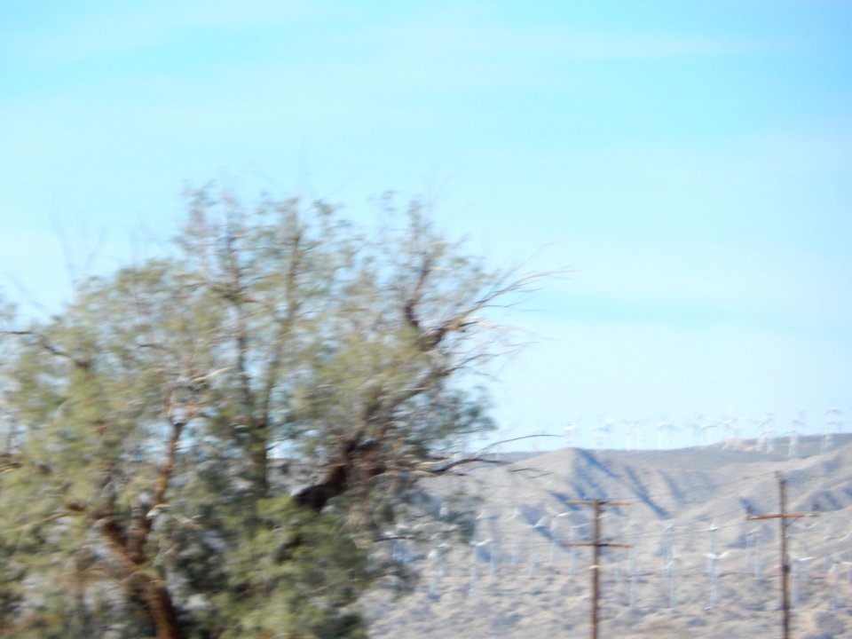 DSCN1809 