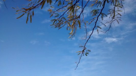 IMG_20160115_100731392 