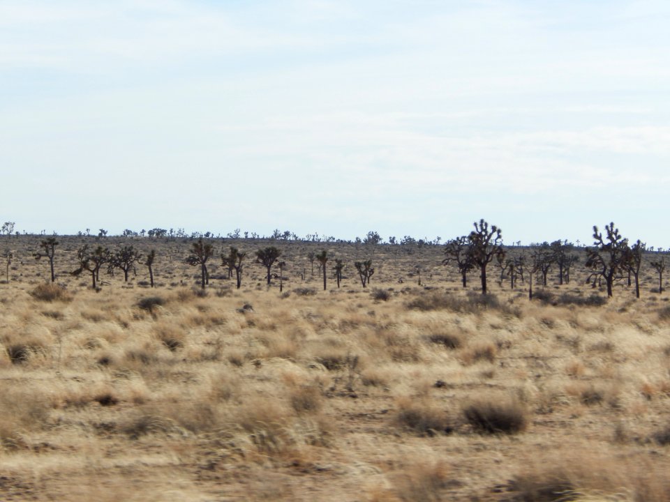 DSCN1682 