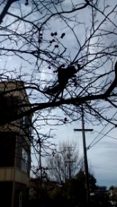 IMG_20160103_132330863 