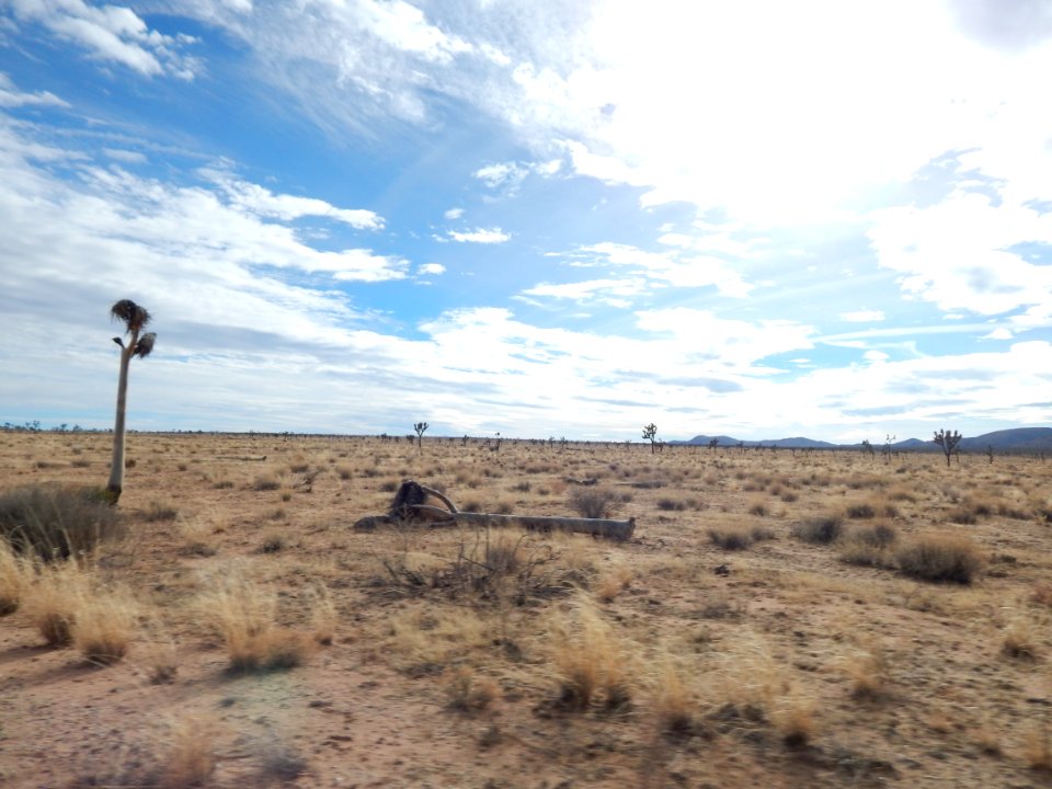 DSCN1779 