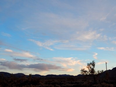 DSCN1784 