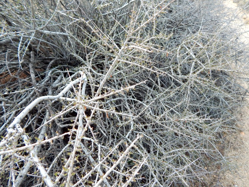 DSCN1765 