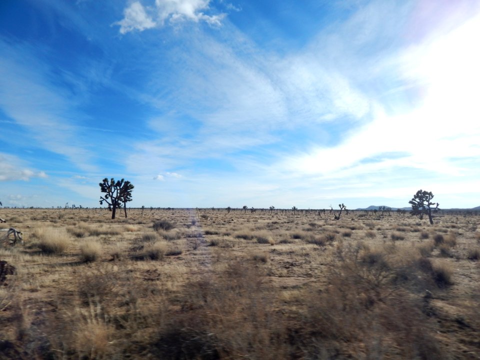 DSCN1679 