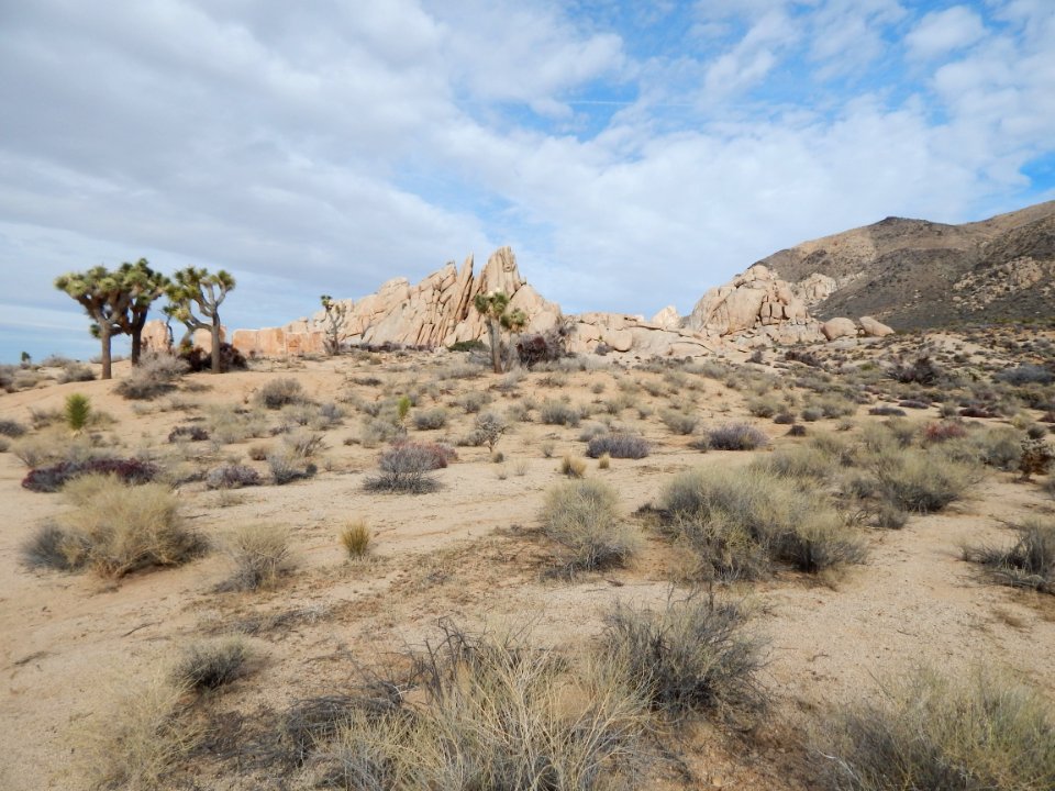 DSCN1770 