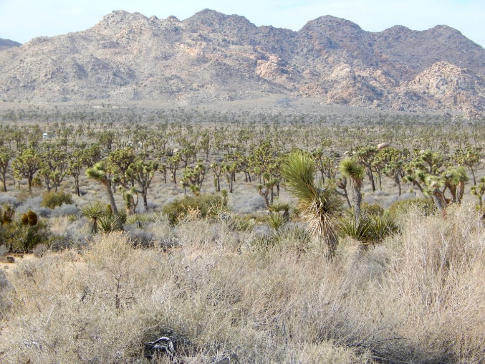 DSCN1775 