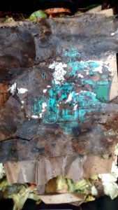 IMG_20160118_154526808 