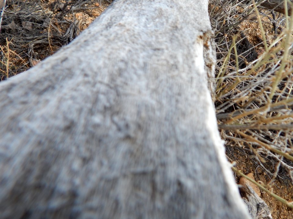 DSCN1763 