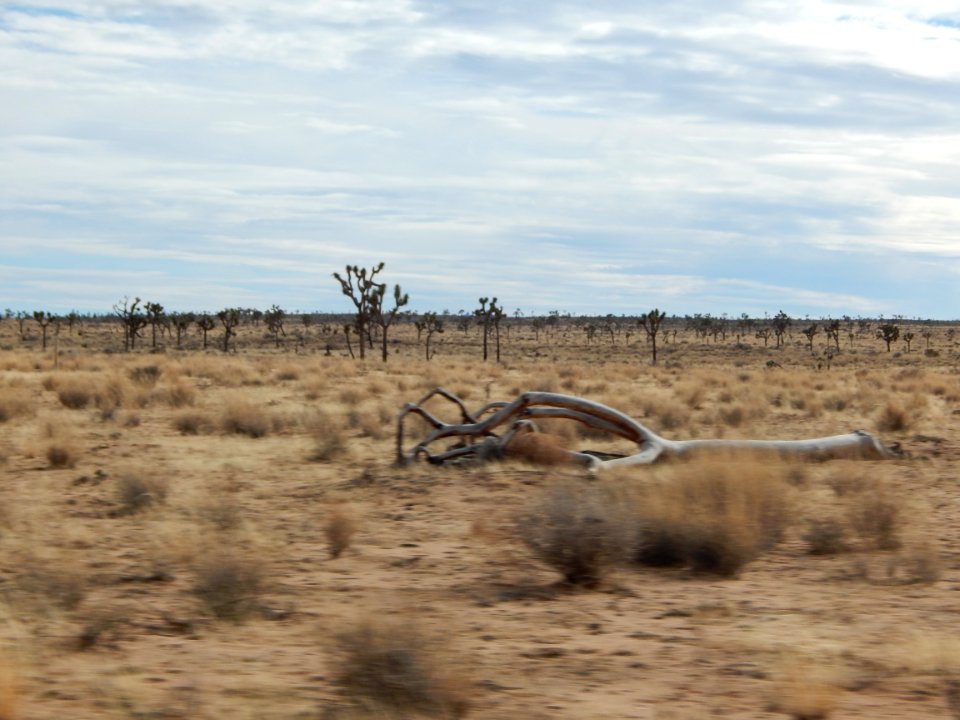 DSCN1780 