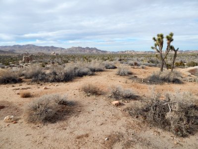 DSCN1774 