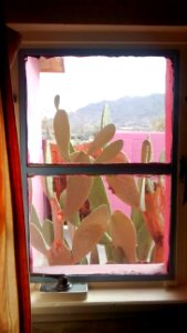 IMG_20160116_143509438 