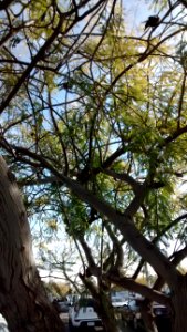 IMG_20160115_100225387 
