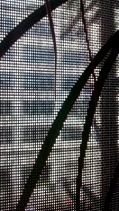 IMG_20160205_130309142 