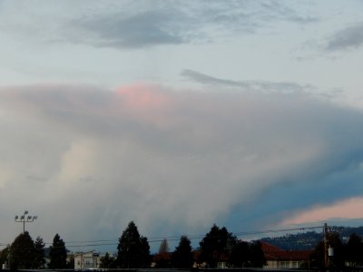 DSCN1831 