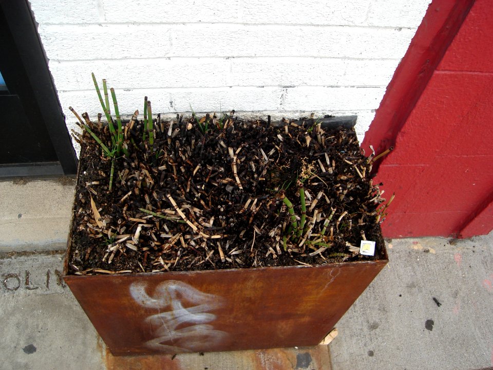 dsc03428.jpg 