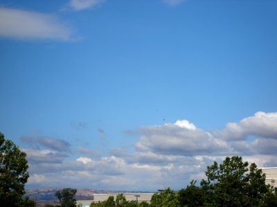 dsc03442.jpg 