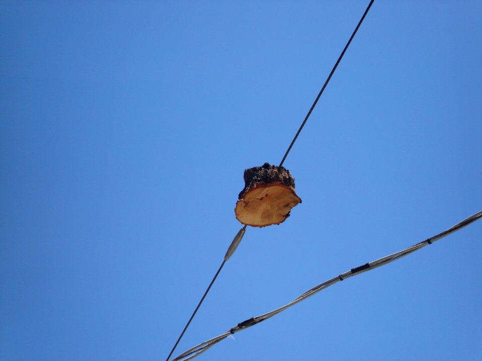 dsc03472.jpg 