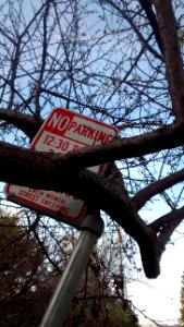 IMG_20160221_170150140 