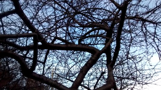IMG_20160221_170127152 