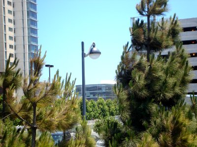 dsc03504.jpg 