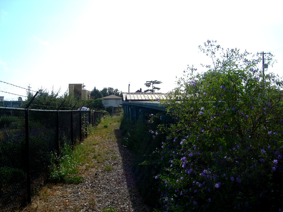 dsc03491.jpg 