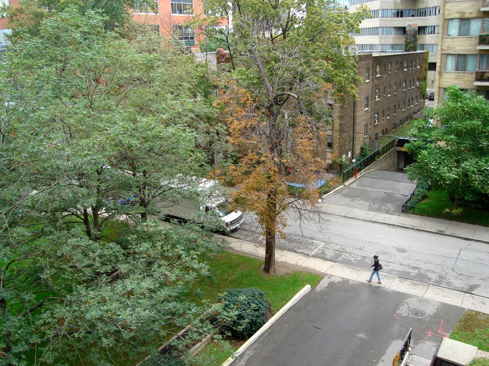 dsc00650.jpg 