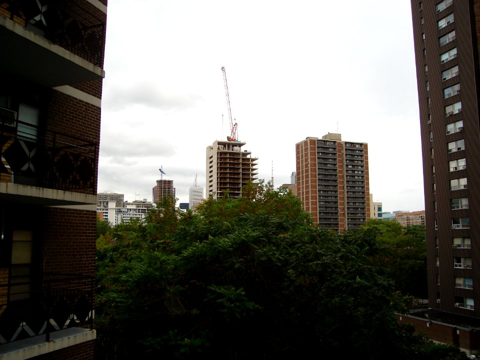dsc00644.jpg 