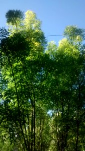 IMG_20160416_172006673 