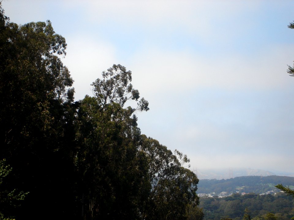 dsc03595.jpg 