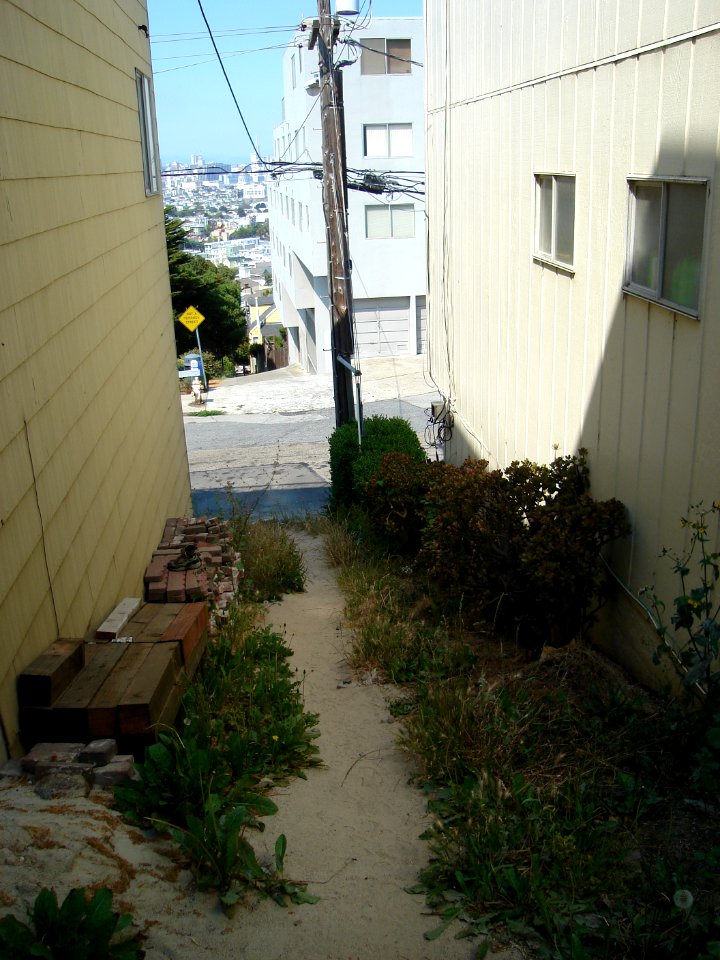dsc03630.jpg 