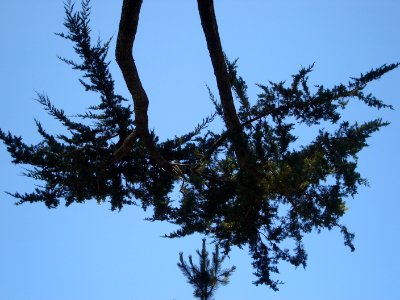 dsc03599.jpg 
