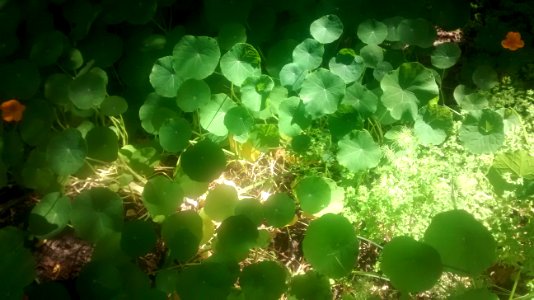 IMG_20160423_120404820 
