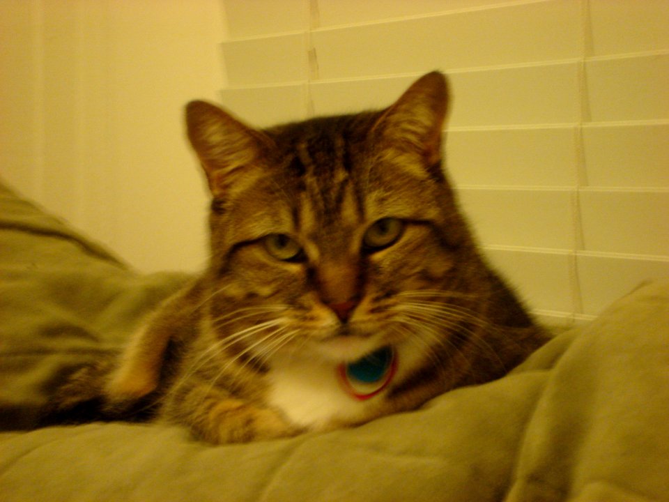 dsc03640.jpg 
