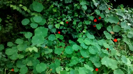 IMG_20160510_180239089 