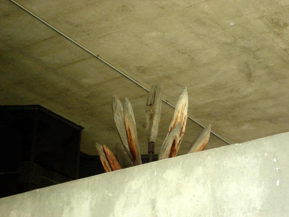 dsc03667.jpg 