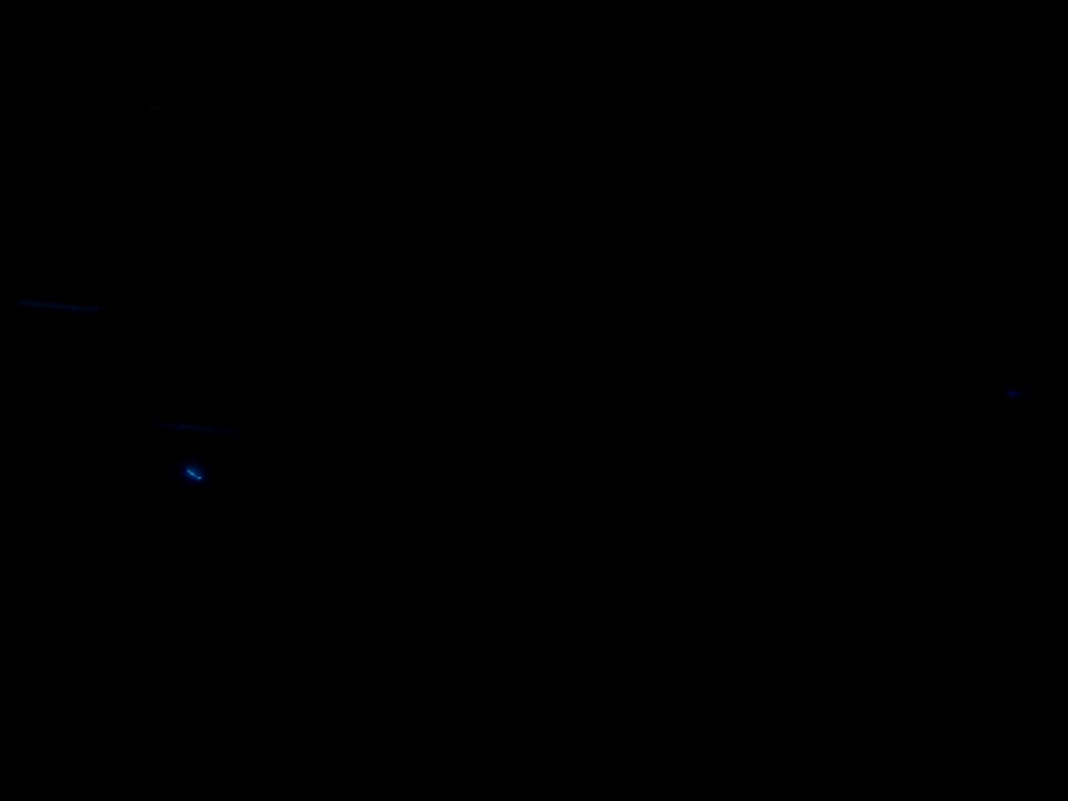 dsc03665.jpg 