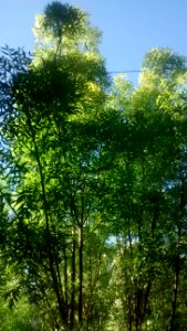 IMG_20160416_171957552 