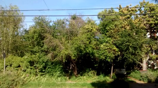 IMG_20160429_173708460 