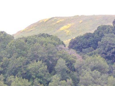 DSCN1878 