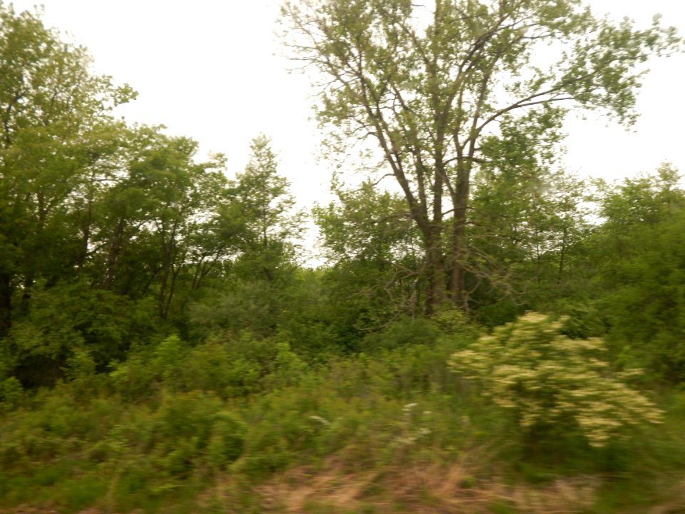 DSCN1896 
