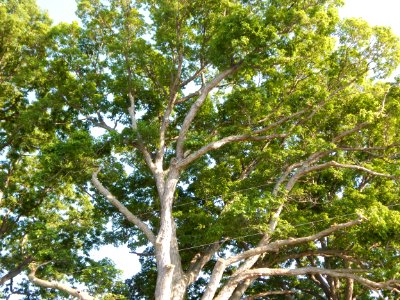DSCN1986 