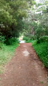 IMG_20160510_180228166 