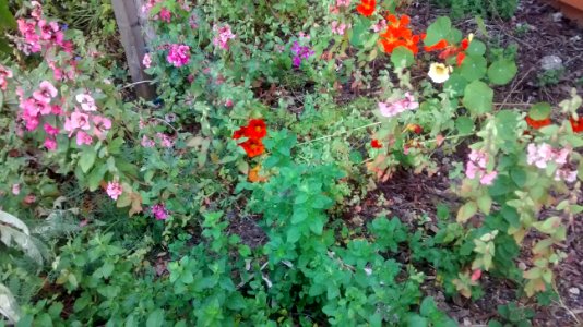 IMG_20160517_134709306 