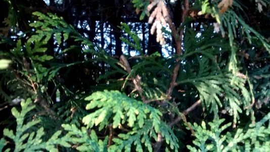 IMG_20160520_063120065 